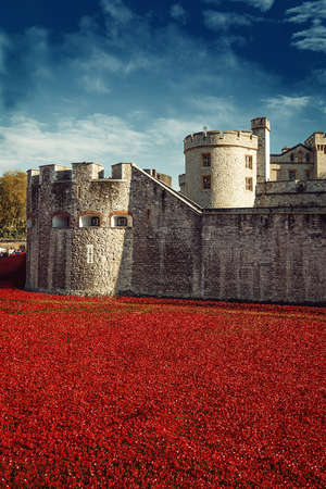 Tower of London 12 Nov 14. Ceramic poppies installation by Paul Cummins and Tom Pipe on October 11, 2014 commemorate the 888,246 British and colonial military who died in the 1914-1918 First World Warのeditorial素材