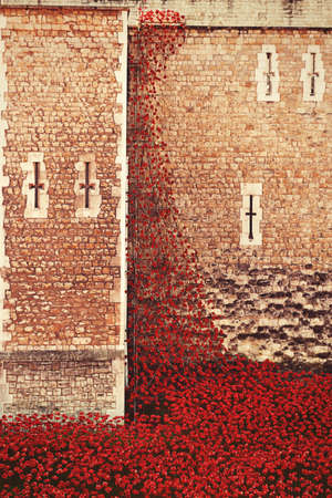 Tower of London 12 Nov 14. Ceramic poppies installation by Paul Cummins and Tom Pipe on October 11, 2014 commemorate the 888,246 British and colonial military who died in the 1914-1918 First World Warのeditorial素材
