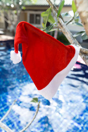 Christmas Santa hat on border of a swimming pool - holiday tropical conceptの写真素材