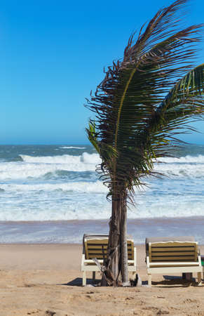 summer beach sun chairs lounger near perfect tropical seaの写真素材