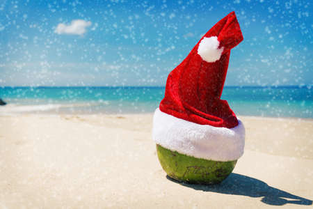 Coconut in a Santa Christmas hat in sand on a tropical beach - Holiday tropic summer conceptの写真素材