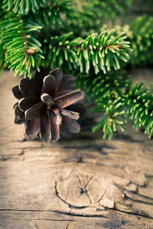 Christmas fir cone on a wooden backgroundの写真素材