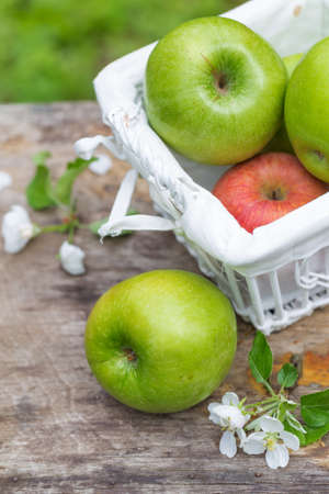 Fresh sweet juicy red and green apples with flowers on a wooden background in gardenの写真素材