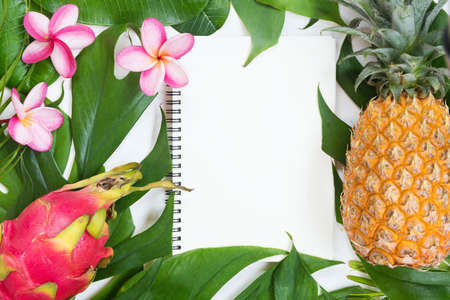 Tropic flat lay top view tropical botanic conceptの写真素材