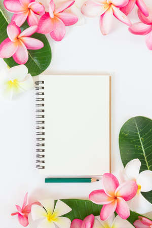 Tropic flat lay top view tropical botanic conceptの写真素材