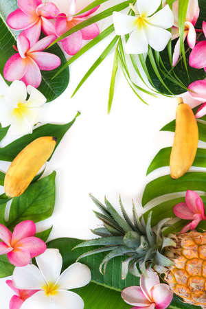 Tropic flat lay top view tropical botanic conceptの写真素材
