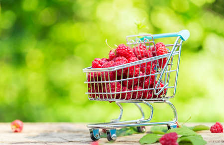 raspberries vitamin fruit at garden market basketの写真素材