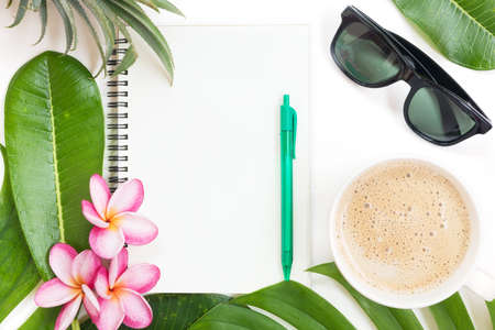 Tropic flat lay top view tropical botanic conceptの写真素材