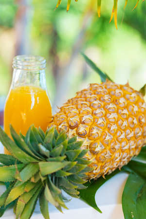 Pineapple tropic fruit summer refreshment smoothieの写真素材
