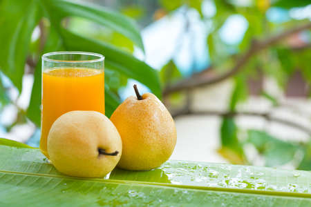 Pear tropic fruit summer refreshment smoothieの写真素材