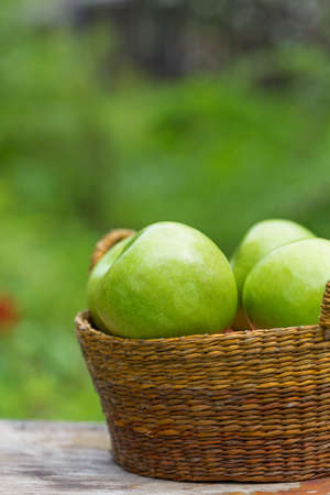 Fresh sweet juicy red and green apples with flowers on a wooden background in gardenの写真素材