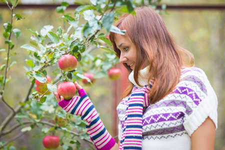 Pretty woman with autumn apple harvest crop near treeの写真素材