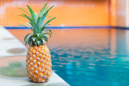 Fresh yellow pineapple tropic fruit summer near poolの写真素材