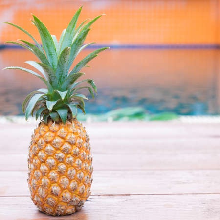 Fresh yellow pineapple tropic fruit summer refreshment smoothie shake drink near poolの写真素材