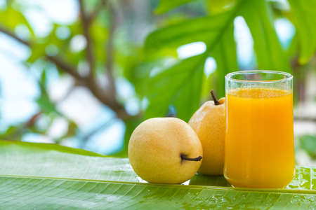 Fresh yellow pear tropic fruit summer refreshment smoothie shake drink outdoorsの写真素材