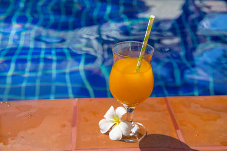Glass of fresh cool orange juice drink with flower on border of a swimming pool - holiday tropical conceptの写真素材