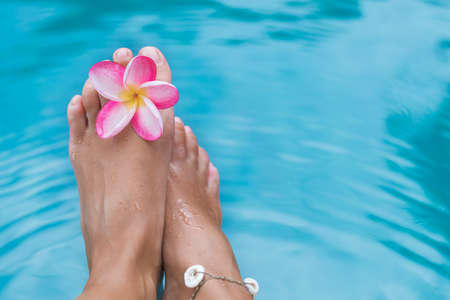 Woman's female legs in blue swimming pool water with frangipani plumeria flowerの写真素材