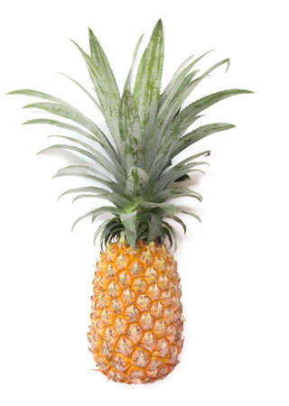 Pineapple fruit ripe on whiteの写真素材
