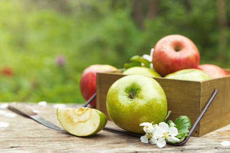 juicy spring green red apples with flowersの写真素材