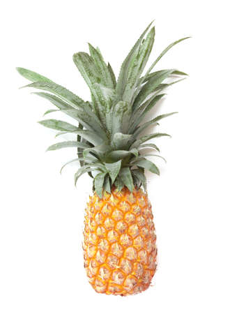 Swwt pineapple fruit ripe on white backgroundの写真素材