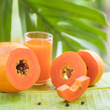 Tropical exotic papaya fruit and glass jar with smoothie shake juice drink outdoors with palm leavesの写真素材