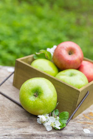 Fresh sweet juicy red and green apples with flowers on a woodenの写真素材