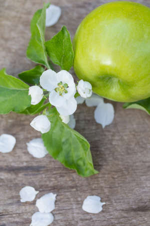 Fresh sweet juicy red and green apples with flowers on a woodenの写真素材