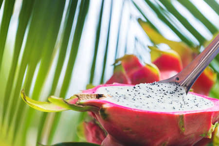 Fresh, tasty tropic, exotic dragon pitahya dragon fruit near palmsの写真素材