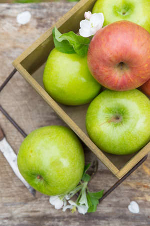 Fresh sweet juicy red and green apples with flowers on a woodenの写真素材