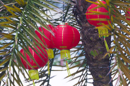 Paper Chinese lanterns on the New Year eveの写真素材