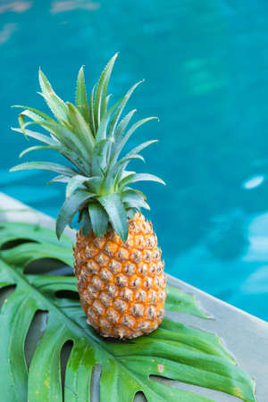 Fresh yellow pineapple tropic fruit summer refreshment near poolの写真素材