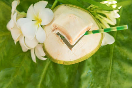 Tropical exotic coconut fruit drink with straw and plumeria frangipani flowers outdoorsの写真素材
