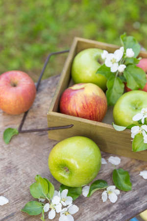 Fresh sweet juicy red and green apples with flowers on a wooden background in gardenの写真素材