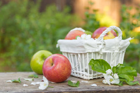 Fresh sweet juicy red and green apples with flowers on a wooden background in gardenの写真素材