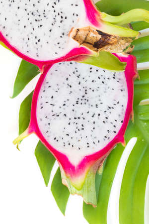Asian dragon fruit Pitaya on a monstera liana, vine backgroundの写真素材