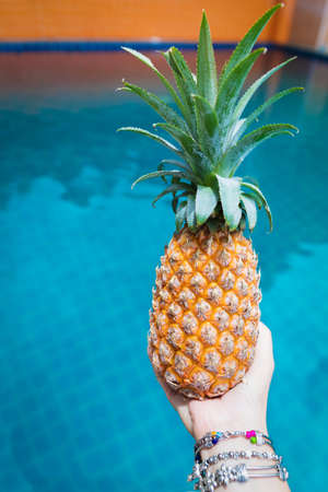 Fresh yellow pineapple tropic fruit summer in woman hands carrying near poolの写真素材