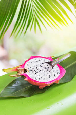 Fresh, tasty tropic, exotic dragon pitahya dragon fruit near palmsの写真素材