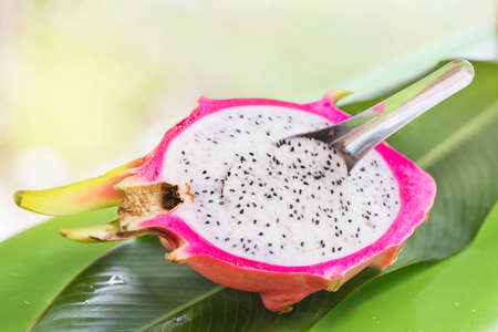 Fresh, tasty tropic, exotic dragon pitahya dragon fruit near palmsの写真素材