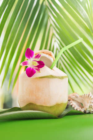 Tropical exotic fresh green coconut water drink near palm with orchid flowerの写真素材