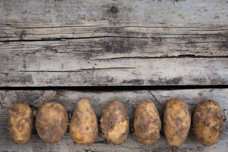 Still life dirty rusic potatoes harvst crop top view flat layout backgroundの写真素材