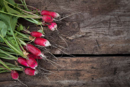 Still life fresh radish vegetables harvest crop background on wood