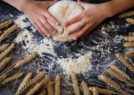 Knead the dough with wheat on a dark backgroundの写真素材