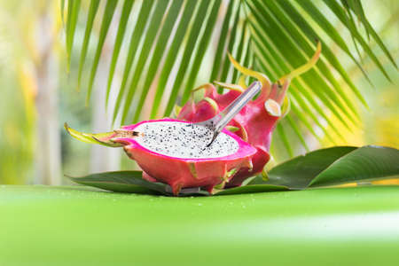 Fresh, tasty tropic, exotic dragon pitahya dragon fruit near palmsの写真素材