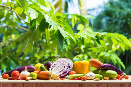 Heap of fresh seasonable vegetables outdoors cropの写真素材