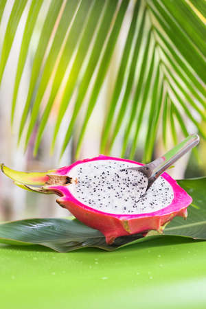 Fresh, tasty tropic, exotic dragon pitahya dragon fruit near palms