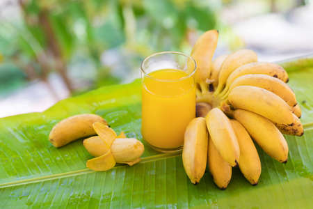 Bunch of bananas on leaf with smoothie juice drink in glass outdoorsの写真素材