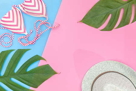 Tropical top view summer holiday concept still life with monstera liana, vine, palm leaves on pink and blue background flat lay layoutの写真素材