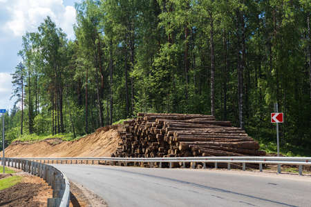Forest trees deforestation for the construction of the new city districtの写真素材