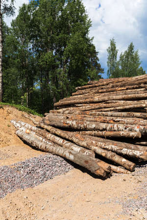 Forest trees deforestation for the construction of the new city districtの写真素材