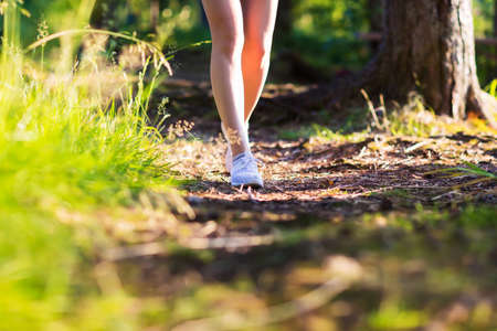 Young woman run in summer the forest in sunset lightsの写真素材